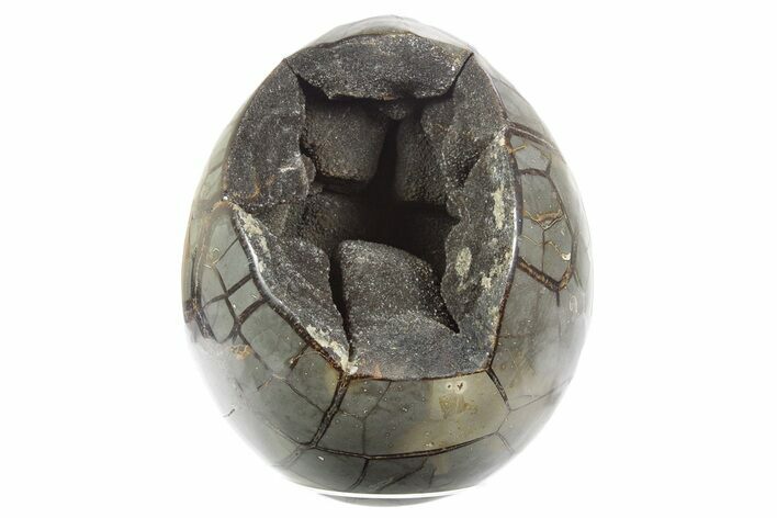 Septarian Dragon Egg Geode - Sparkly Black Crystals #355908